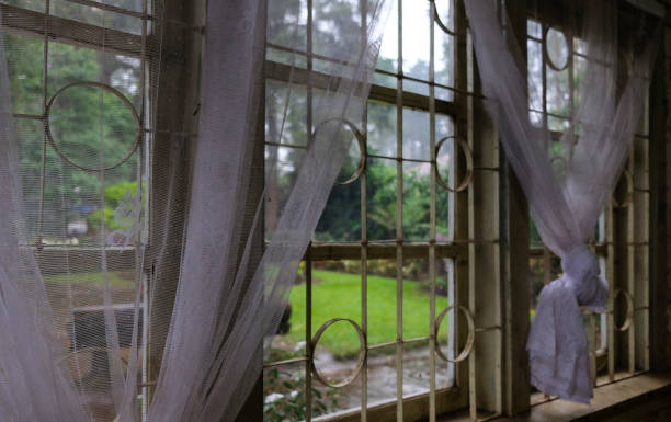 istock View from window in an old house. 2181864032