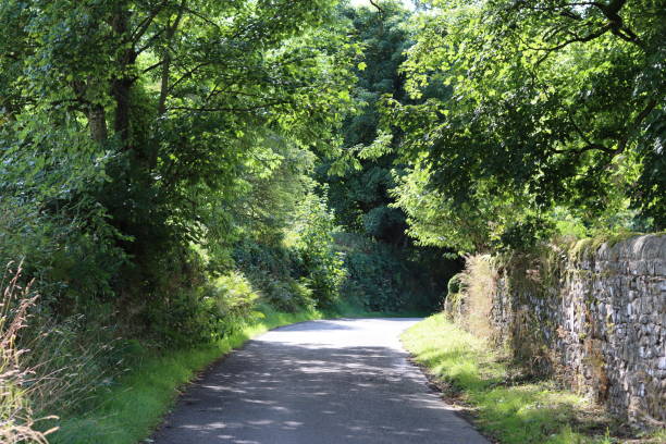 istock Dappled light along a countryside road in summer surrounded by trees 2181864290