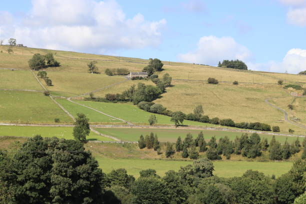 istock View over rolling Northumbrian countryside in summer 2181864997
