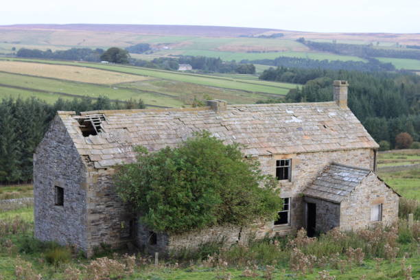 istock Abandoned farmhouse in remote countryside 2181865703