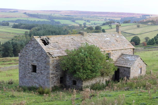 istock Abandoned farmhouse in remote countryside 2181865739