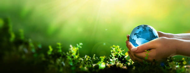 istock Earth Day.Hand holding crystal earth globe. Environment day, save clean planet, ecology concept.Renewable energy-based green businesses can limit climate change and global warming. 2181868420