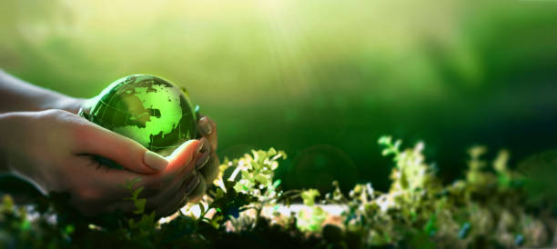 istock Earth Day.Hand holding crystal earth globe. Environment day, save clean planet, ecology concept.Renewable energy-based green businesses can limit climate change and global warming. 2181868421