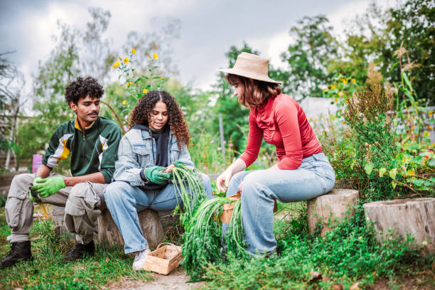 istock young people sitting on stones in vegetable garden 2181871106