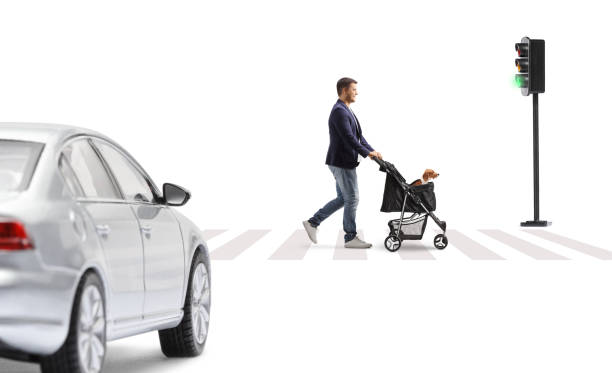 istock Young man crossing a street and pushing a dog stroller with a beagle 2181871242