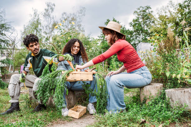 istock young people sitting on stones in vegetable garden 2181871508