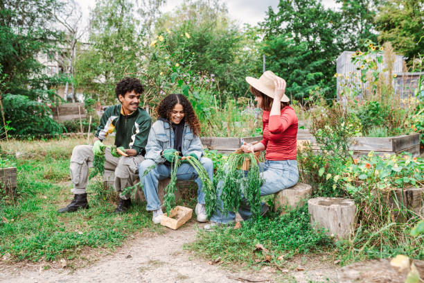istock young people sitting on stones in vegetable garden 2181871531