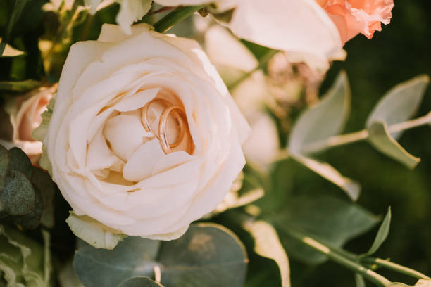 Wedding Rings and roses