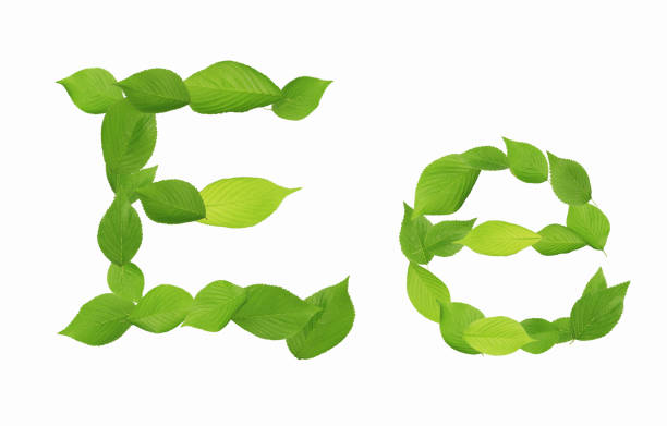 istock Roman letters drawn with leaves 2181873941