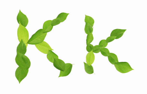 istock Roman letters drawn with leaves 2181874111