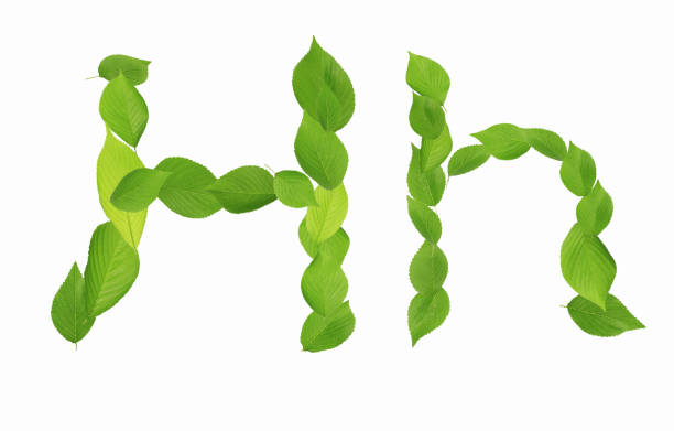 istock Roman letters drawn with leaves 2181874118