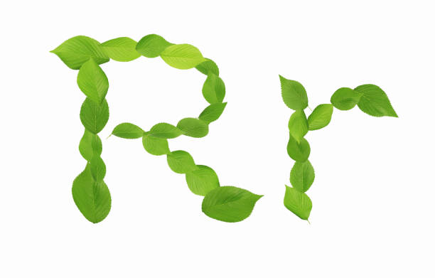 istock Roman letters drawn with leaves 2181874228