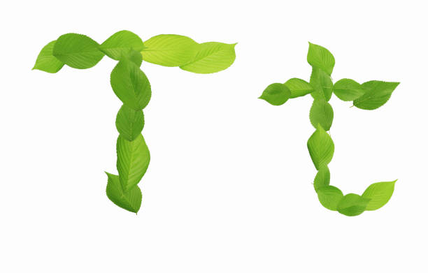 istock Roman letters drawn with leaves 2181874229