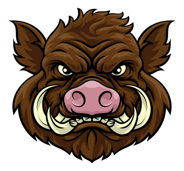 Editable Razorback Hog 100+ Razorback Hog Drawing Stock Illustrations, Royalty-Free Vector ...