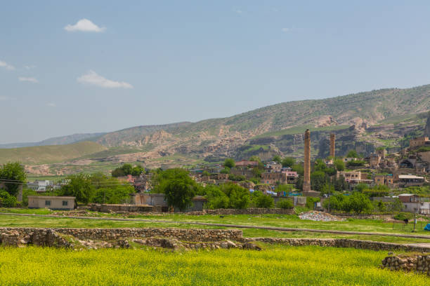 istock El Rizk Mosque's minaret in Hasankeyf before submerged, Turkey 2181876030