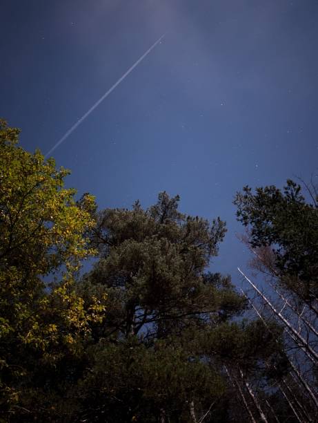 istock Night sky with jet trail above forest 2181879396