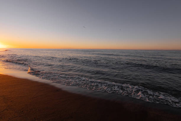 An emerging sun is rising over the calm waters of the Atlantic Ocean. Image is taken from Folly Beach County Park, outside of Charleston South Carolina.  The vivid orange sky is met be the dark blue water.
