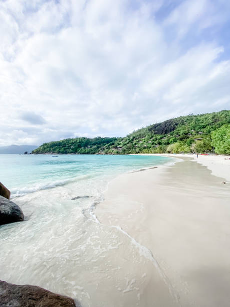 istock Beach in the Seychelles 2181888245