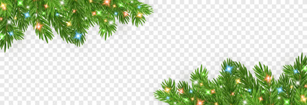 istock Vector realistic Christmas tree branch. Christmas tree branch decorated with garland on a transparent background. Winter border. 2181888547