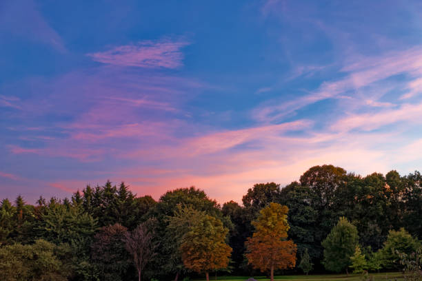 Autumn sunset in Hertfordshire