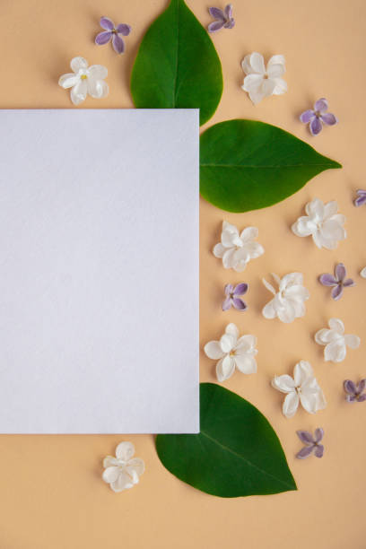 istock Composition with empty envelope and beautiful spring lilac flowers on beige background. Mockup card invitation greeting card postcard copy space template. Branches of lilac blooming bouquet. 2181894241