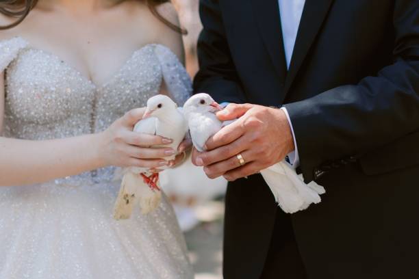 istock Bride and groom holding doves at wedding. 2181898714