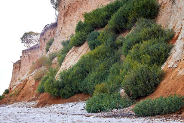 istock Close clay cliff wall surface layer of soil covered with green grass 2181899394