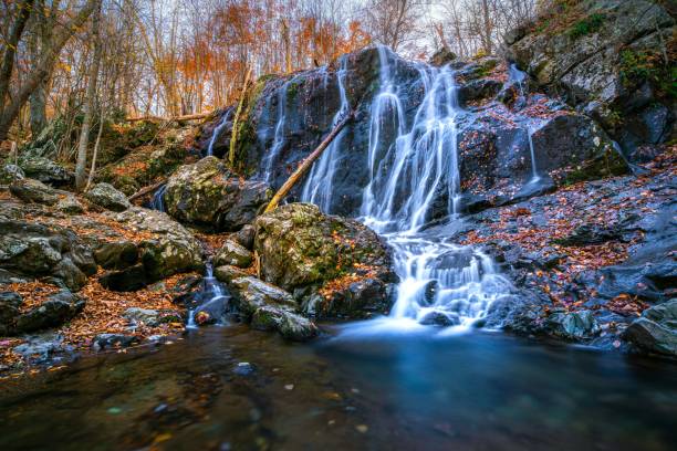 Waterfalls and streams in autumn at Dark Hollow Falls, Shenandoah National Park, Virginia