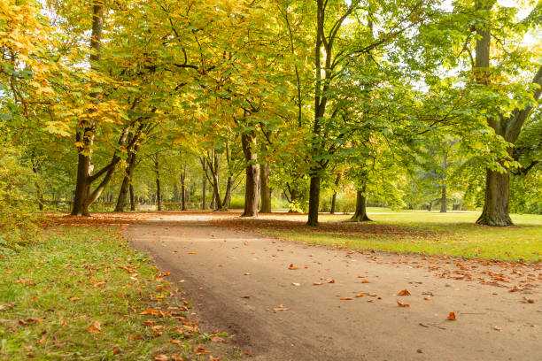 istock Path in autumn park. Beautiful landscape. 2181900628