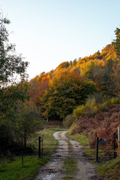 istock Serene autumn landscape with a winding path 2181901650