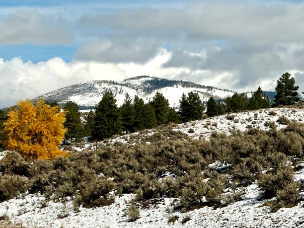 istock New snow in the mountains 2181903572
