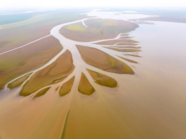 istock Poyang Lake in China, drying up in autumn 2181908706