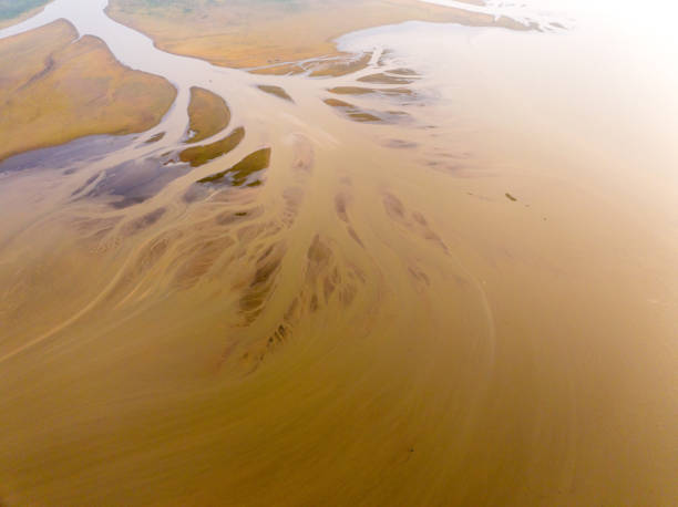 istock Poyang Lake in China, drying up in autumn 2181908709