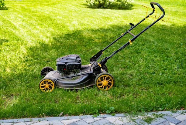 istock Lawnmower beside large tree in garden. 2181916393