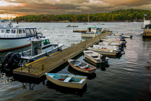 Boats docked by the bay