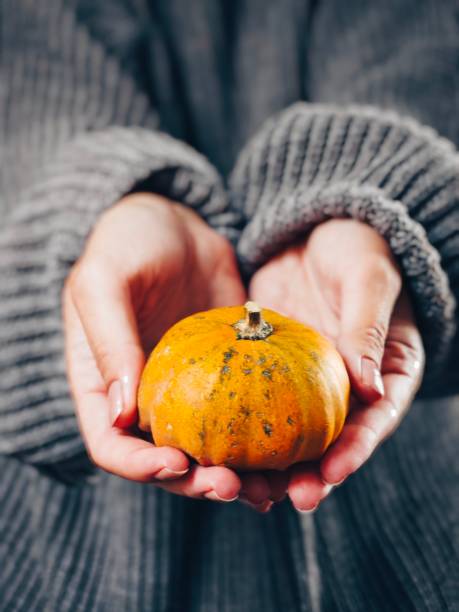 istock Small orange pumpkin holding in the hands 2181919522