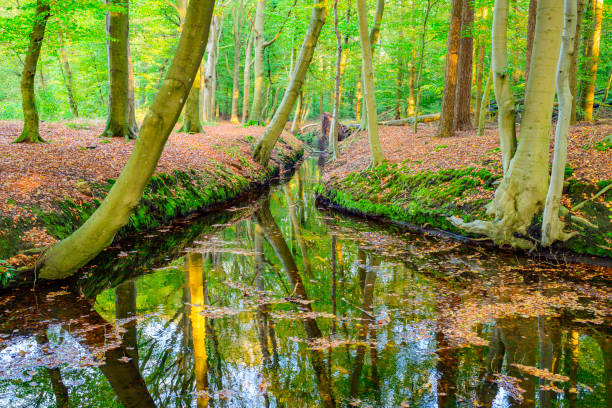 reflect on water