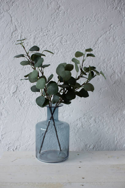 istock plant branches in a vase on a white background, aesthetics 2181919940