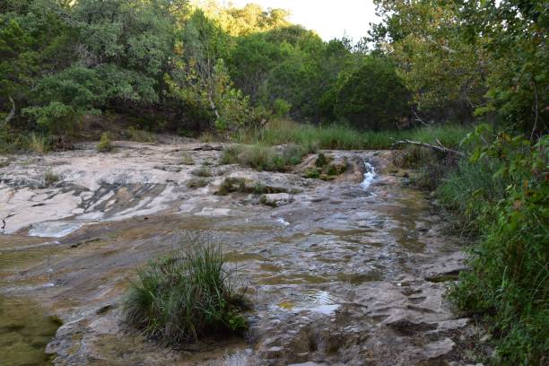 istock stream flows over rocky terrain, surrounded by lush greenery and trees in Colorado Bend State Park 2181921473