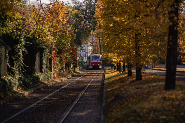 istock Old tram in prague. autumn tree, red and yellow. prague mood 2181921856
