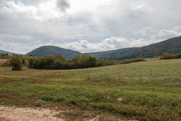 A rural farmland scene with fields under a cloudy sky. Rolling hills and a line of trees are visible in the background, creating a peaceful agricultural landscape
