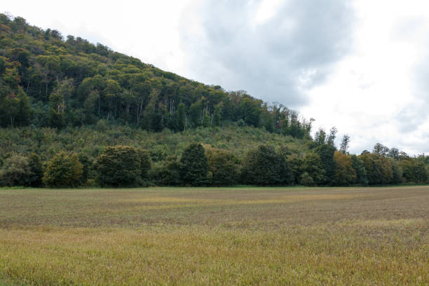 istock plowed field with forested hill and cloudy sky 2181924339