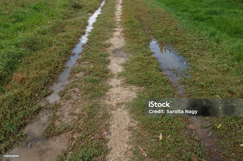 Ditched Image Narrow Forest Ditch With Water Runoff Stock Photo - Download Image Now ...
