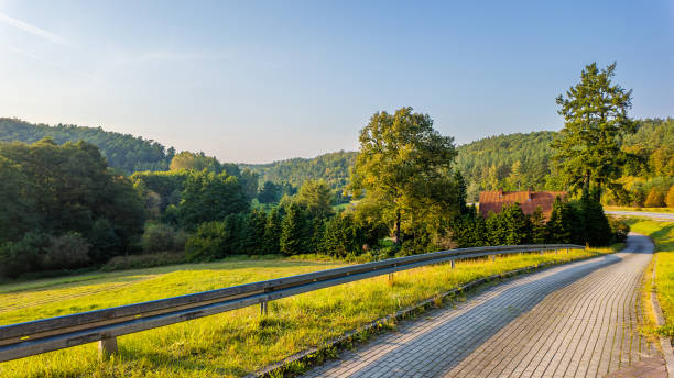A quiet rural path paved with light-colored bricks runs alongside green fields bordered by a fence. Trees and bushes line the fields, while forested hills rise in the distance under a clear blue sky. The scene combines agricultural land with natural elements, offering a peaceful view of the countryside.