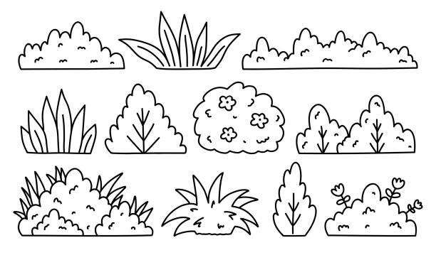 ilustraciones, imágenes clip art, dibujos animados e iconos de stock de a set of bushes and grasses of different shapes isolated on a white background. vector hand-drawn illustration in doodle style. perfect for decorations, logo, various designs. - arbusto