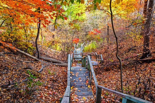 Wooden stairs take me to hiking trails in Crothers Woods, Toronto, Ontario, Canada