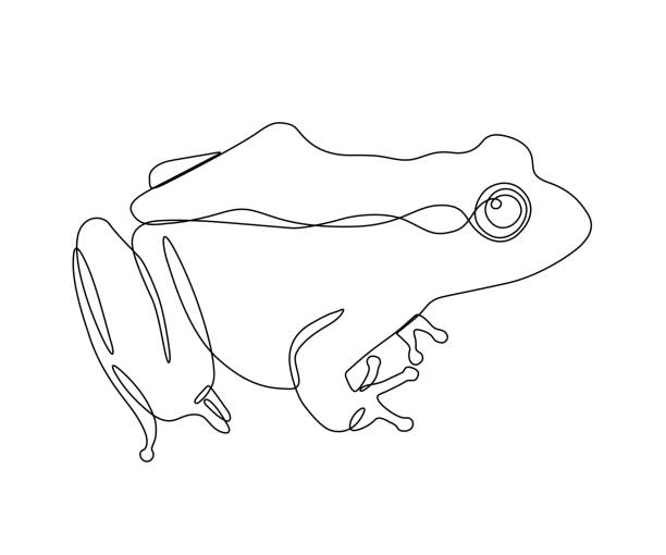 милая лягушка непрерывный рисунок линий - лягушка stock illustrations