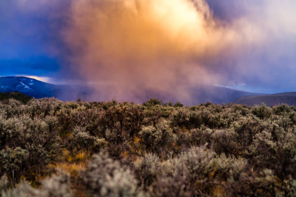 Storm Clouds at Sunset Sagebrush Mountain Landscape - Scenic view with out of focus Sagebrush in foreground with mountains in distance and warm low hanging storm cloud moving through area.