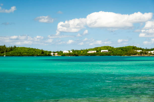 Vibrant Views of Bermuda