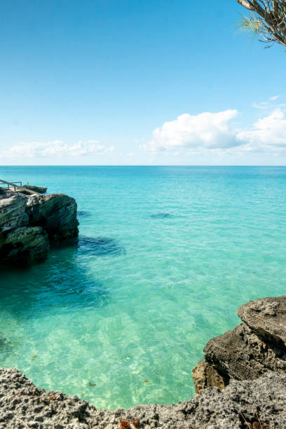 Vibrant Views of Bermuda